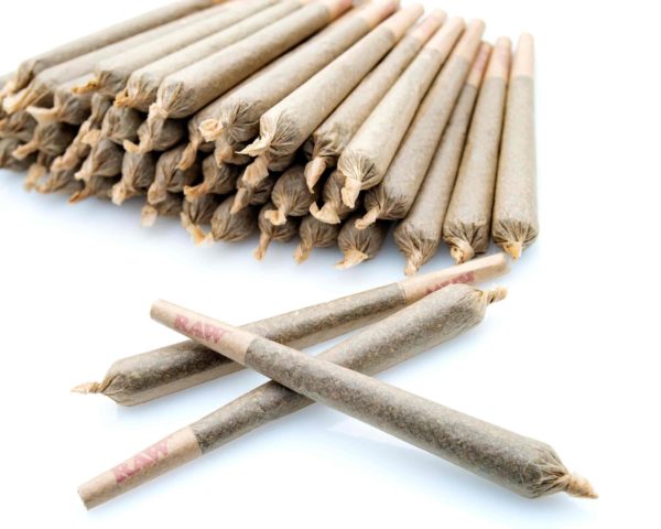 Gelato #33 King Size Pre-Rolls